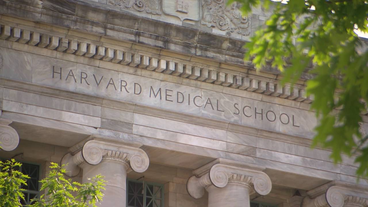 Harvard Medical School y la quiropráctica