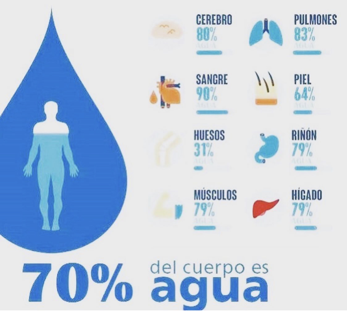 día mundial del agua